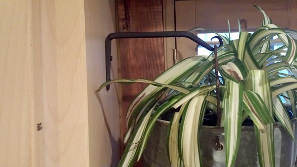 A plant hanger screwed to a cabinet holding a plant in an old metal bucket.