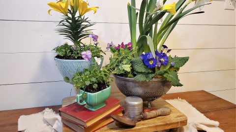 flowers in strainer, creamer and vintage bowl